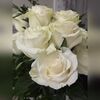 jess994807